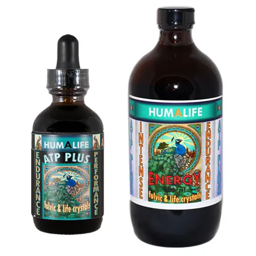 ATP-Plus-Both-Sizes