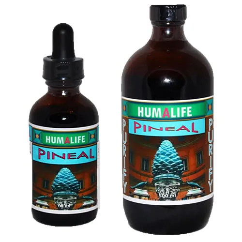 Pineal-Both-Sizes