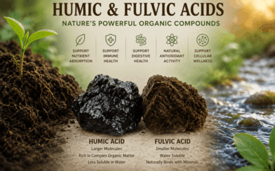 Humic and Fulvic Acids: Benefits, Uses and How They Work